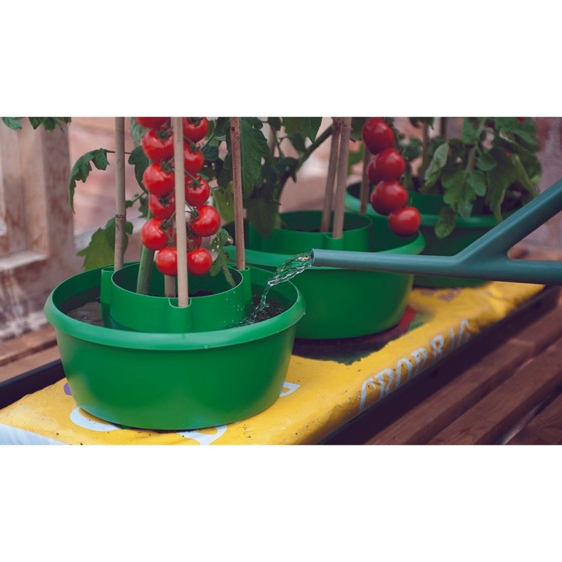Garland Plant Halos Green|Pack 3