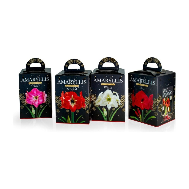 Deree Gift Kits