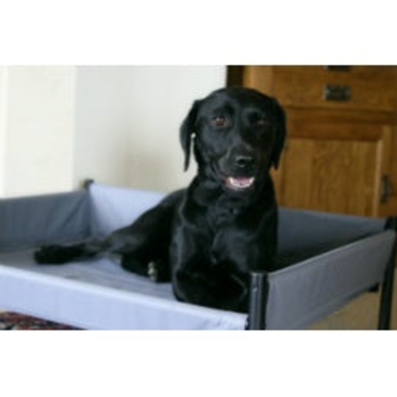 Henry Wag Elevated Dog Bed|Medium|Large