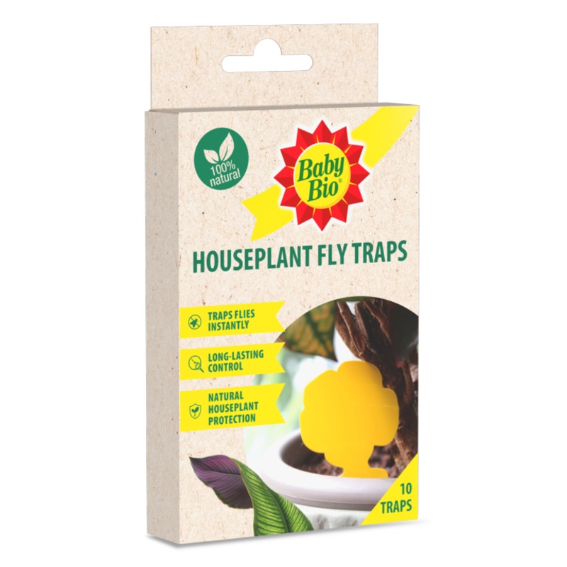 Baby Bio Houseplant Fly Traps Pack 10