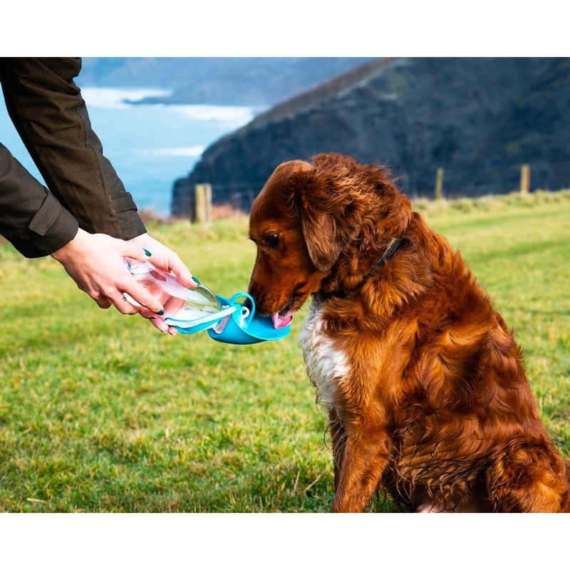 Henry Wag Water Bottle With Leaf Bowl