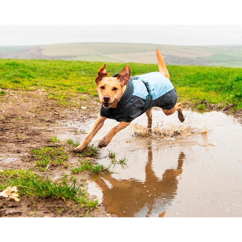 Henry Wag Waterproof Dog Coat|Large 55cm|Medium 45cm