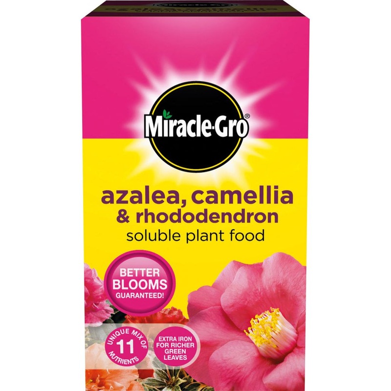 Miracle-Gro Azalea, Camellia & Rhododendron Soluble Plant Food